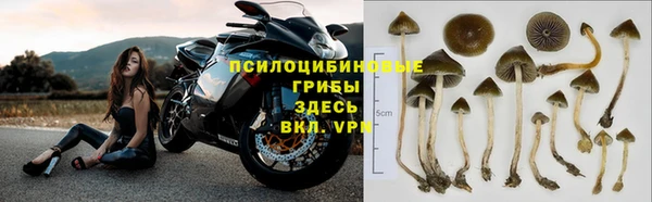 эйфоретик Сосновый Бор