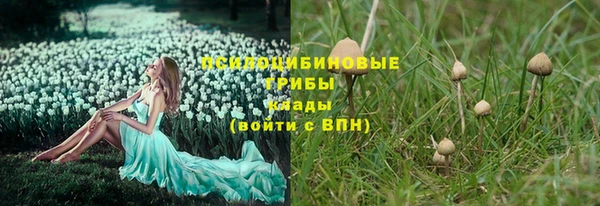амф Михайловск