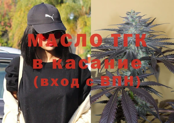 гидра Михайловка