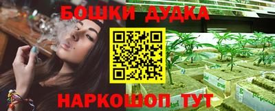 стафф Заводоуковск