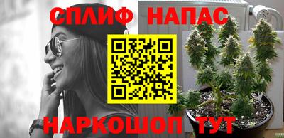 мдпв Жуковский