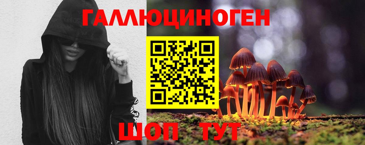 Карабулак  Галлюциногенные грибы мухоморы  Вход с VPN 