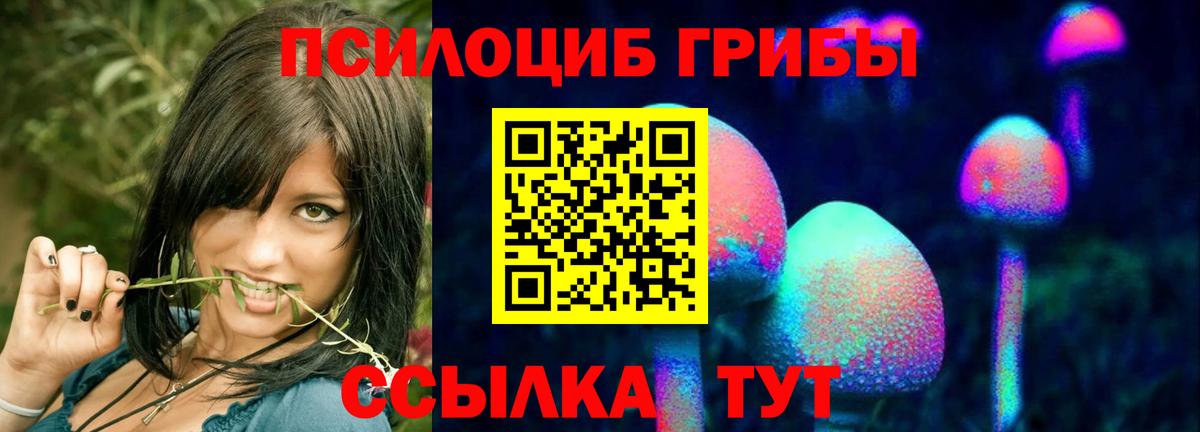 Псилоцибиновые грибы мицелий Карабулак