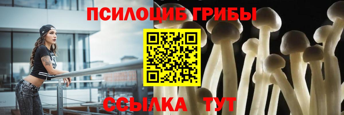 дарнет шоп  Карабулак  Галлюциногенные грибы Magic Shrooms 