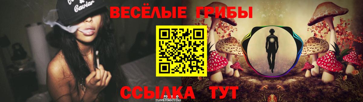 Галлюциногенные грибы Psilocybe Карабулак